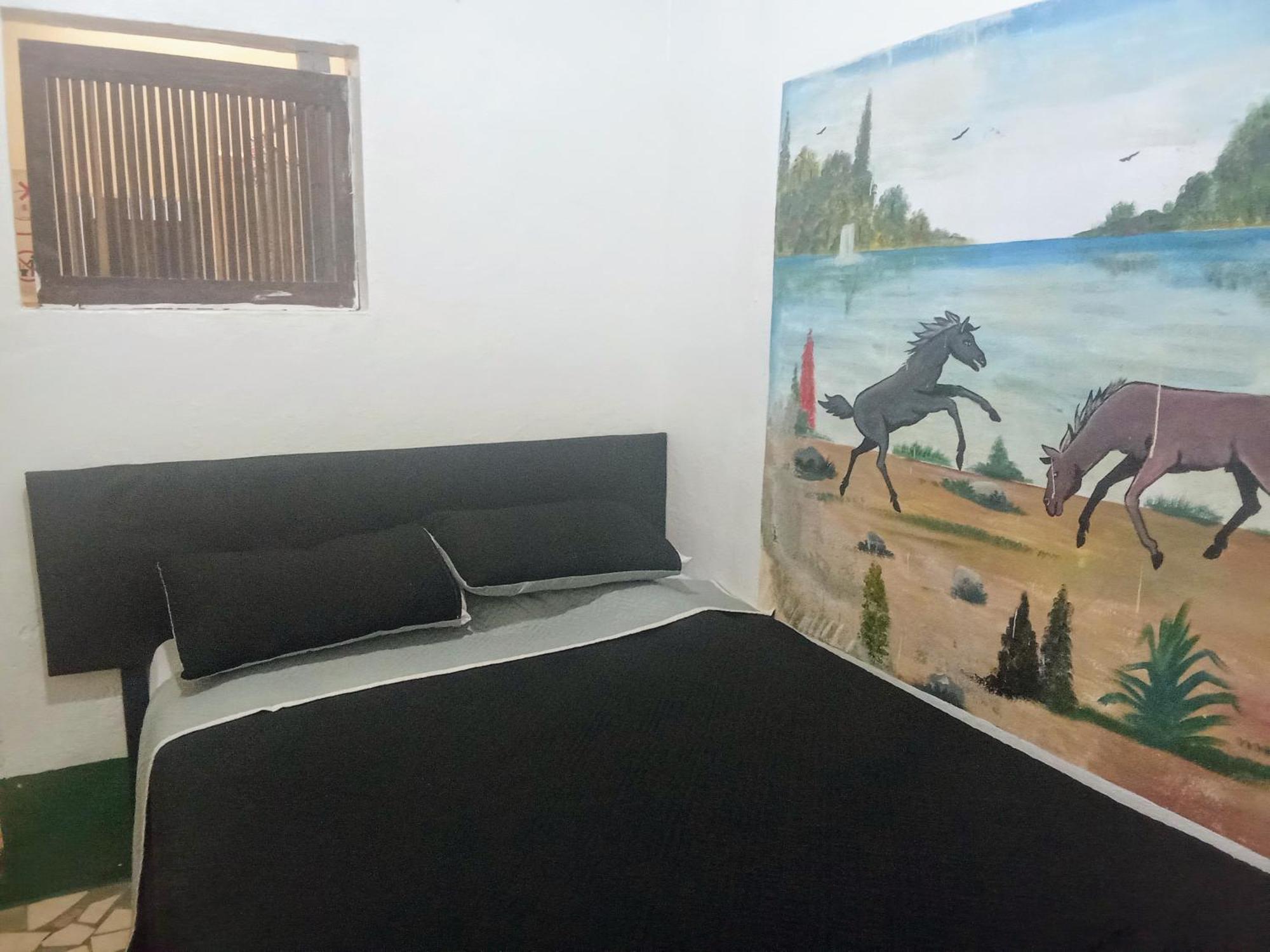 Zazil Ha Hostel El Remate Dış mekan fotoğraf